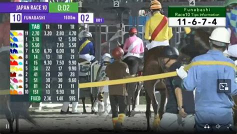 asianbookie horse racing